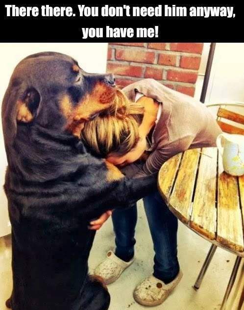Dog comforts girl. There there..
