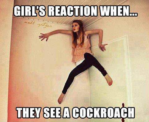 Girl's reaction when they see a cockroach