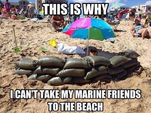 This is why I can't take my marine friends to the beach