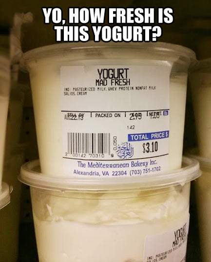 Yo, How fresh is this yogurt?
