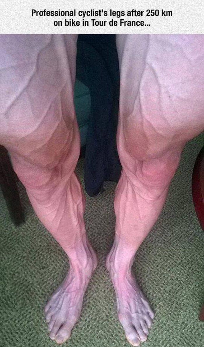 Professional cyclist's legs after 250km..
