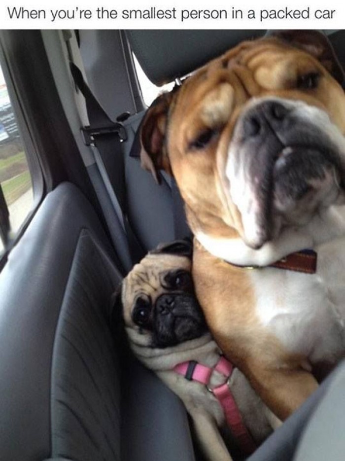 When you are the smallest person in a packed car