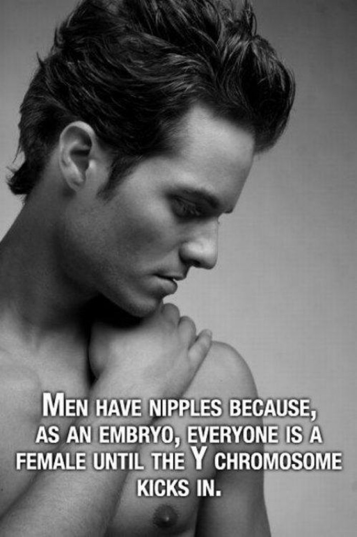Men have nipples because ...