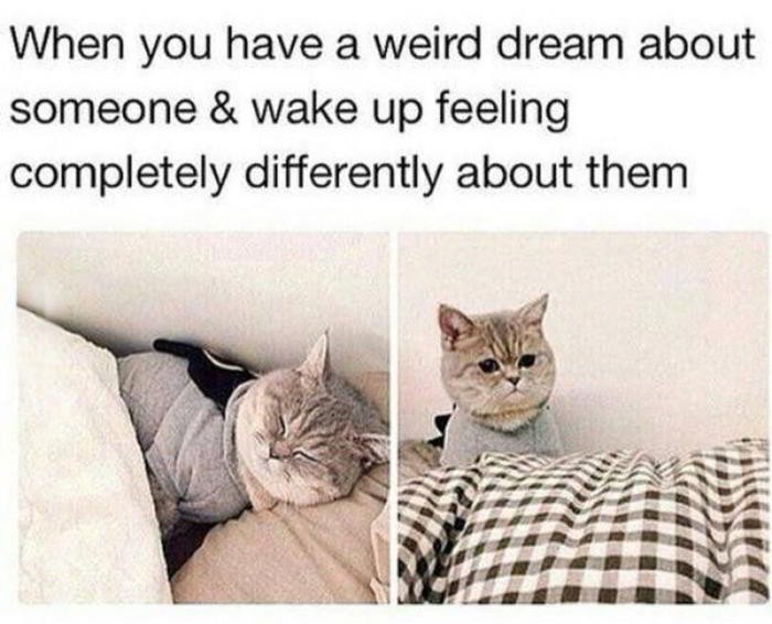 When you have a weird dream about someone