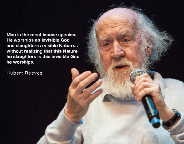 Hubert Reeves Quote - Man is the most insane species.