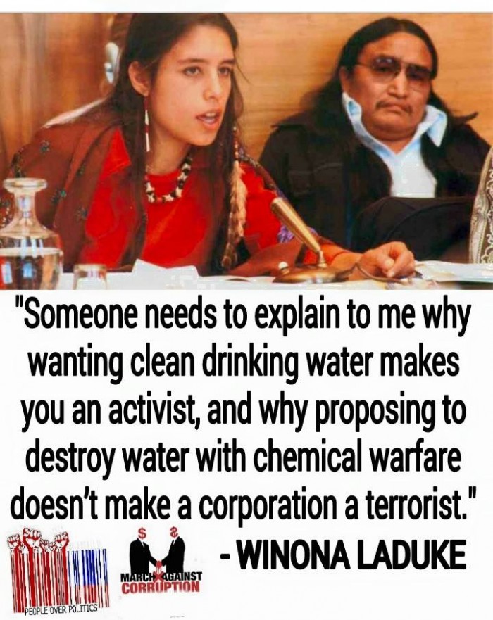 Winona Laduke - Someone needs to explain to me why wanting clean drinking water...