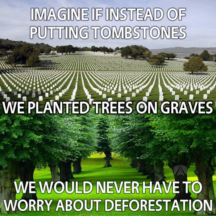 Imagine If Instead Of Putting Tombstones We Planted Trees On Graves