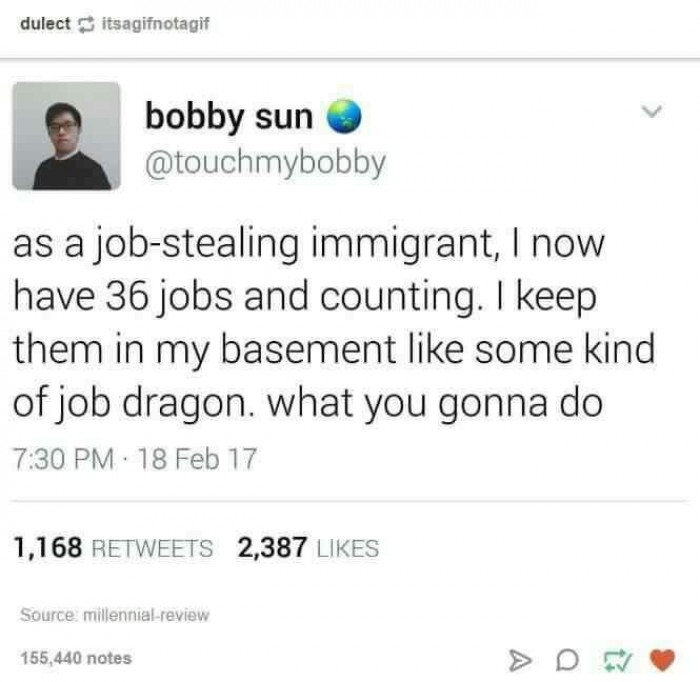 Job Stealing Immigrant 