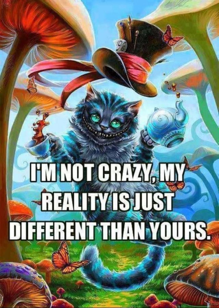 I'm not crazy. My reality is...