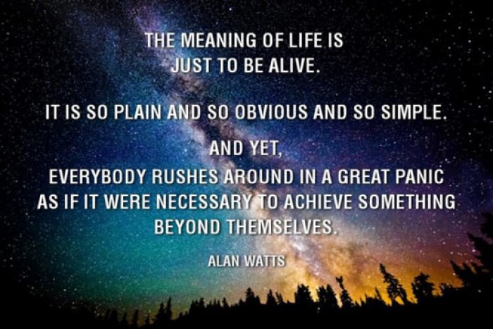 The meaning of life is jut to be alive.. - Alan Watts Quote