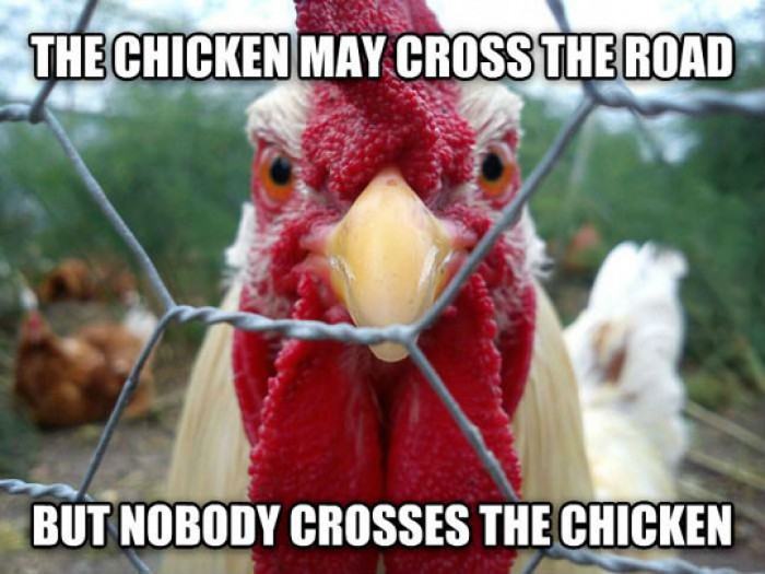 The Chicken May Cross The Road