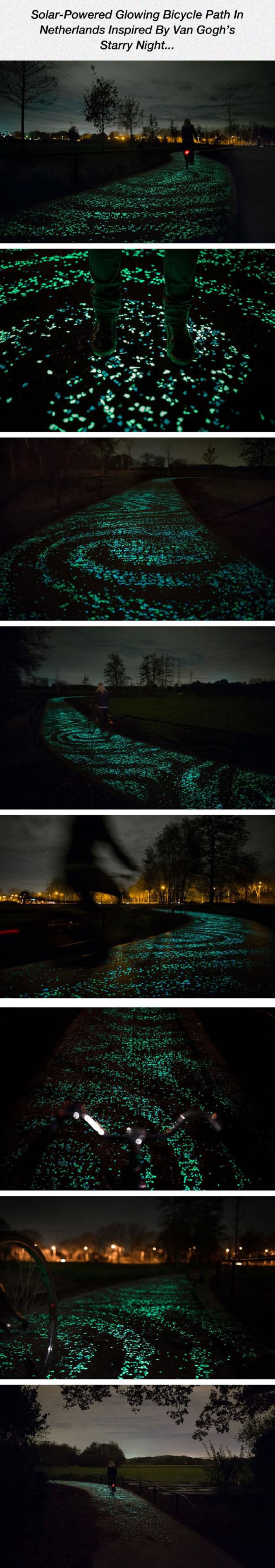 Beautiful Glowing Bicycle Path In Netherlands