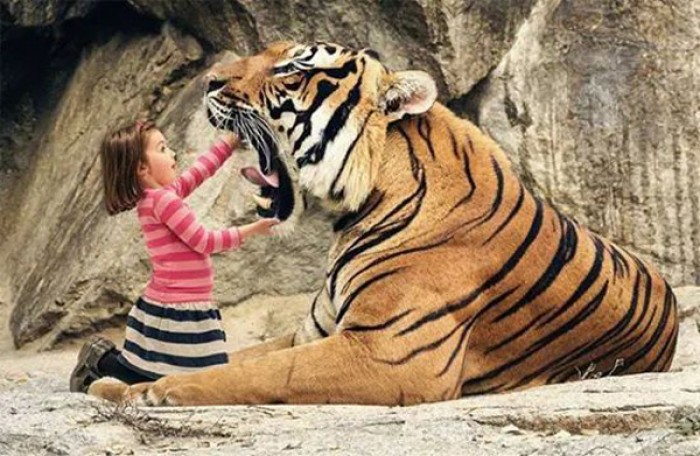 A little girl and a big tiger