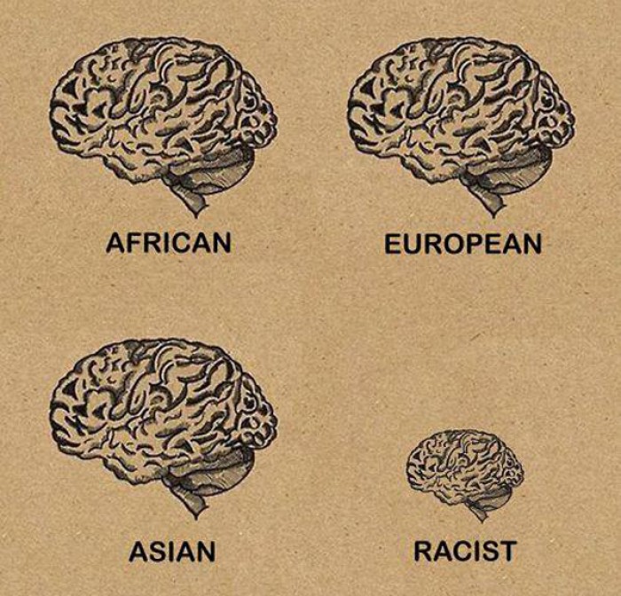 Brain Size by Race