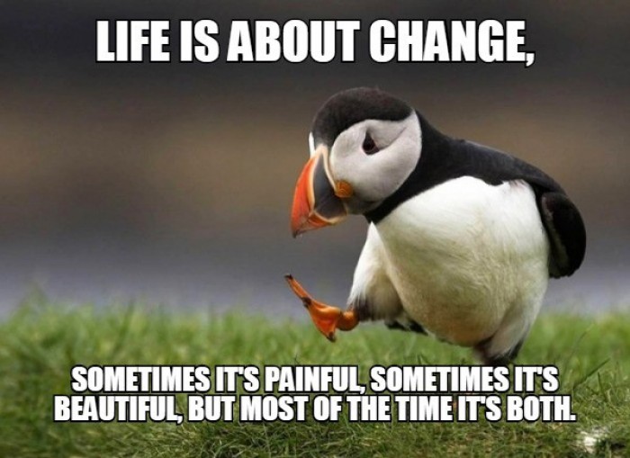 Unpopular Opinion Puffin - Life is about change, sometimes it's painful...