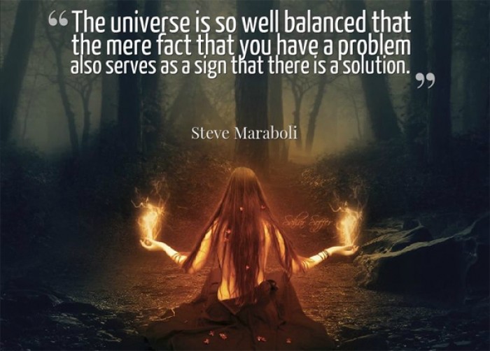 Steve Maraboli - The universe is so well balanced that the mere fact that you have a problem...
