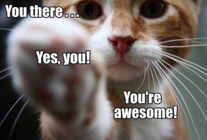 You there. Yes you! You're awesome!