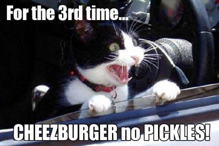 Cat yelling "Cheezburger no pickles!!!"