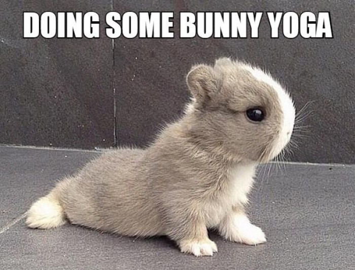 Doing some bunny yoga