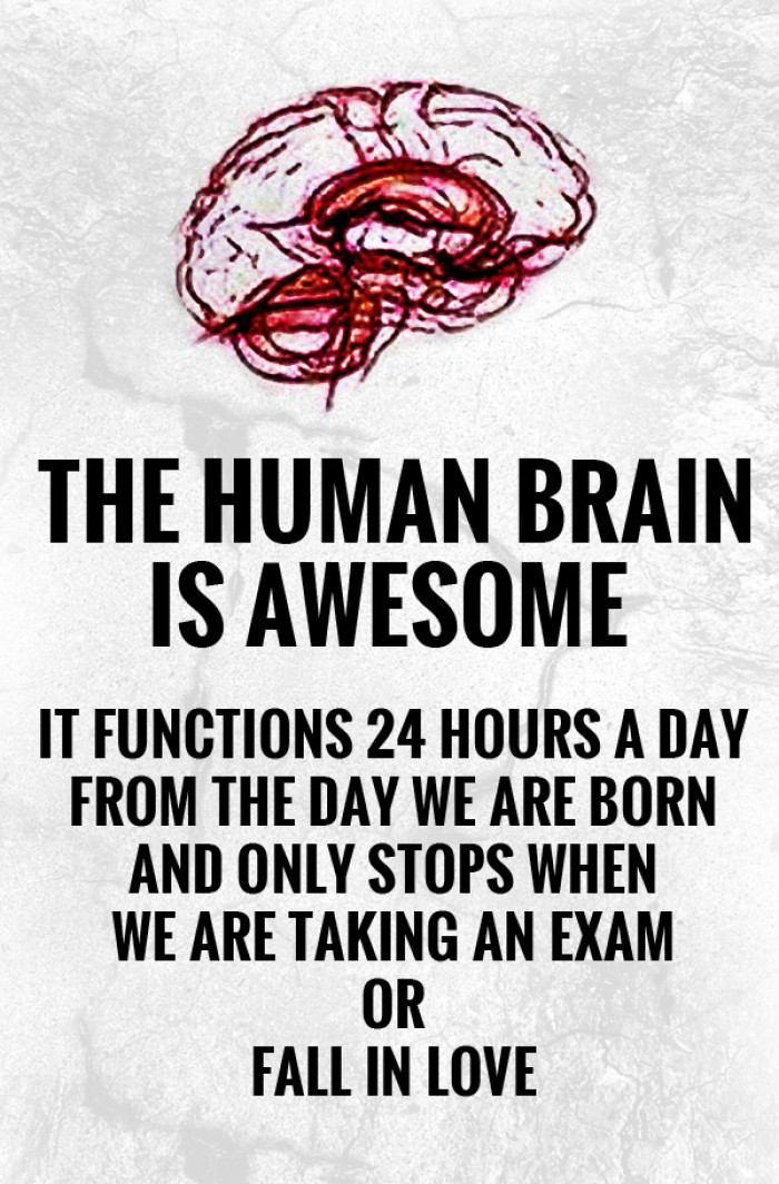 Human Brain Is Awesome