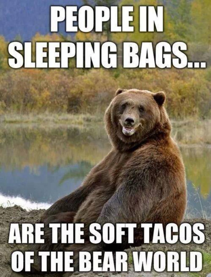 People in sleeping bags are the soft tacos of the bear world 