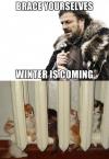 Brace your selfe Winter is Coming - Game of Thrones