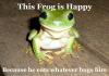 This frog is happy because he eats whatever bugs him 