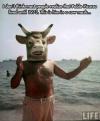 The Great Pablo Picasso And His Cow Mask