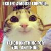 I killed a mouse for you…  (Overly attached cat)